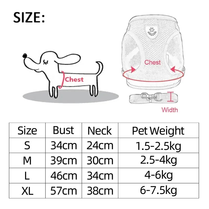 Cats Harness