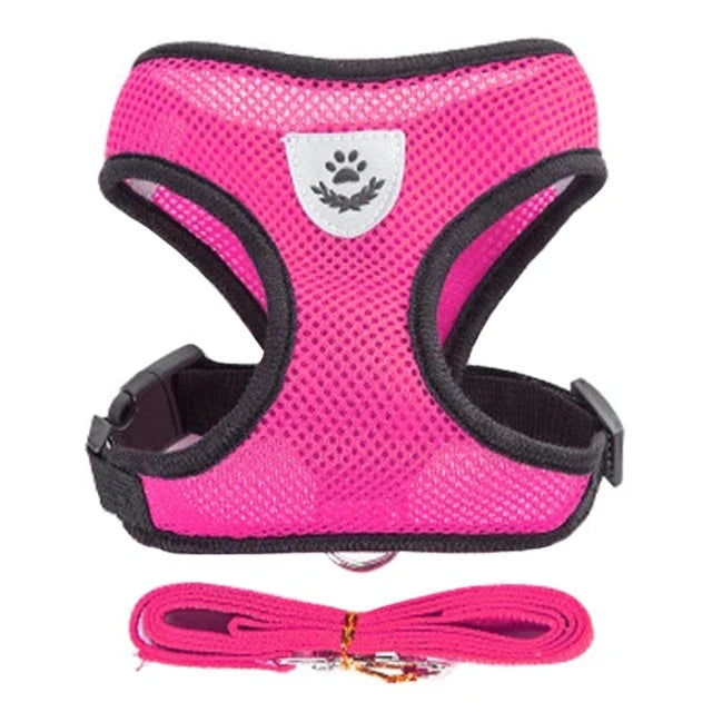 Cats Harness