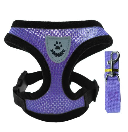 Cats Harness