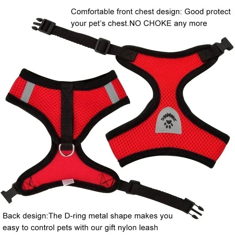 Cats Harness