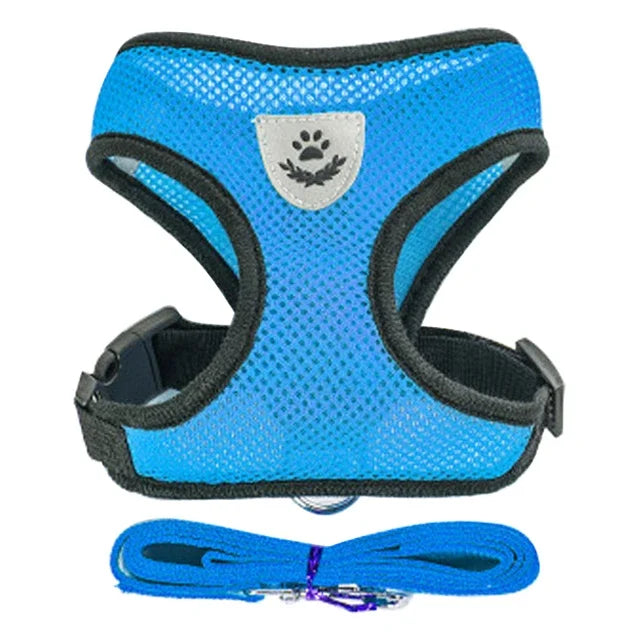 Cats Harness