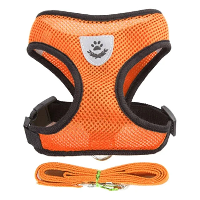 Cats Harness