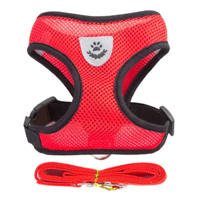 Cats Harness