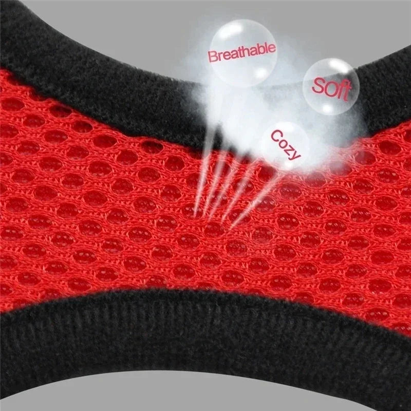 Cats Harness