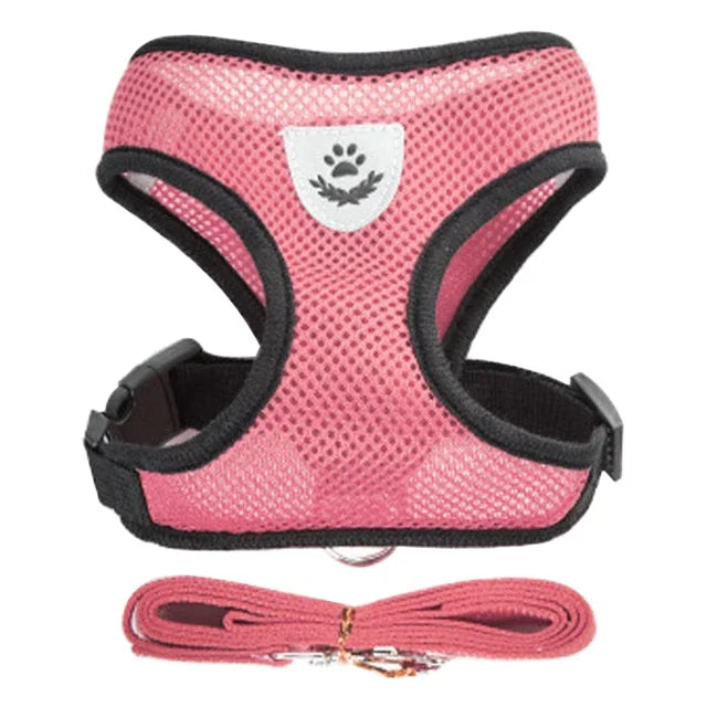 Cats Harness