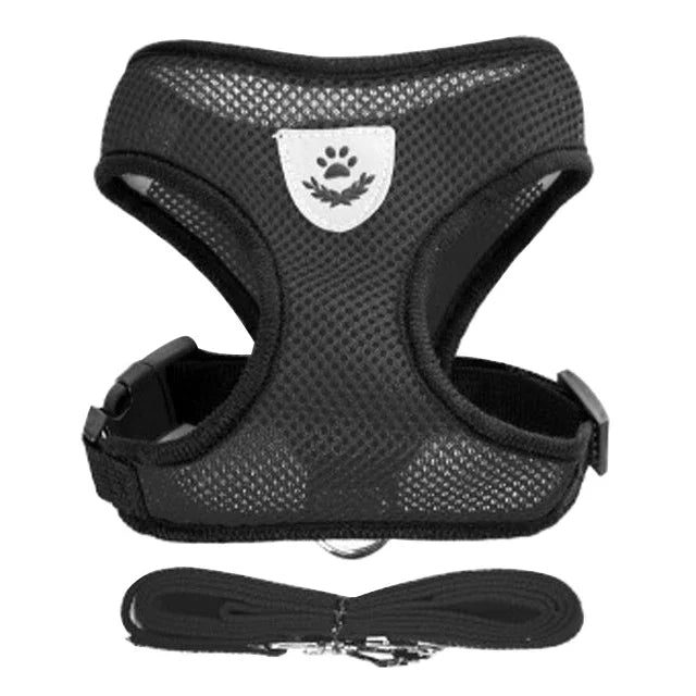 Cats Harness