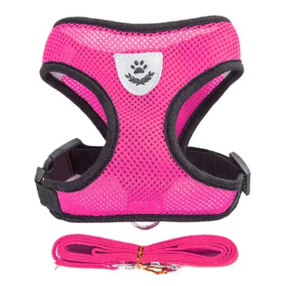 Cats Harness