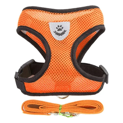 Cats Harness
