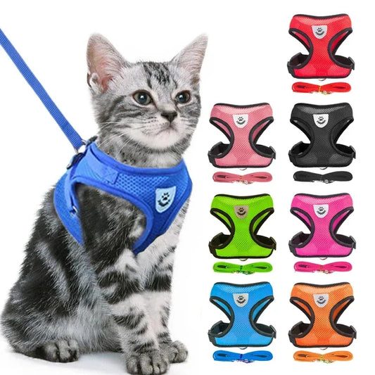 Cats Harness