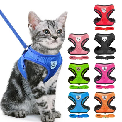 Cats Harness