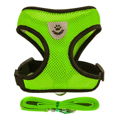 Cats Harness